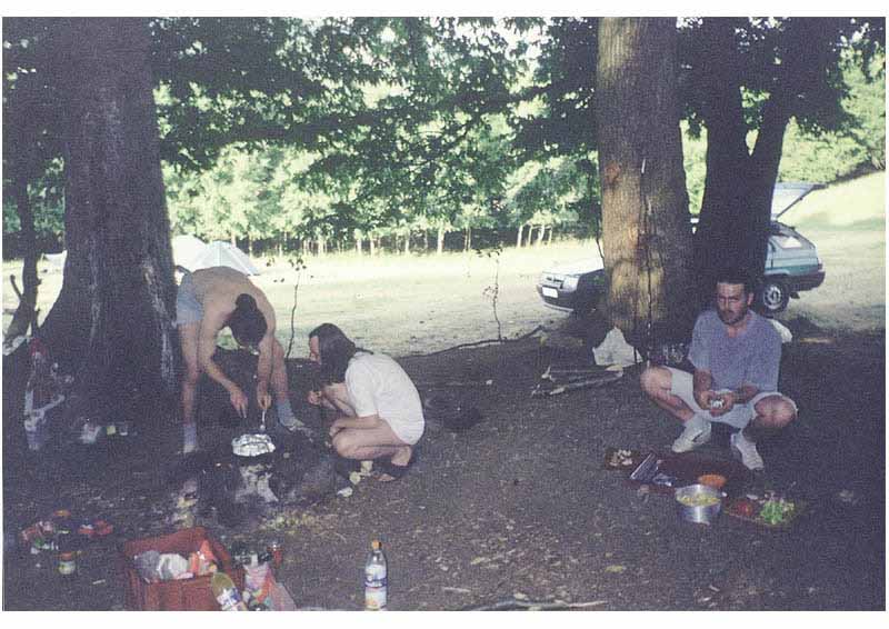 If picture is not shown here, it probably doesnot exist for this quality ... (choose another quality)