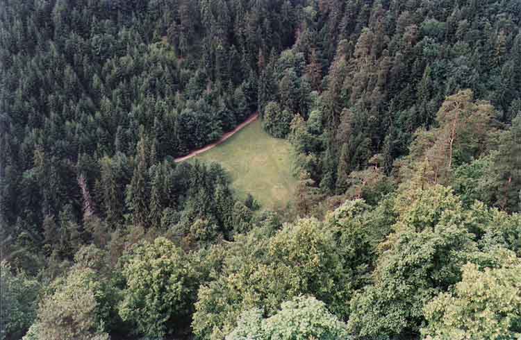 If picture is not shown here, it probably doesnot exist for this quality ... (choose another quality)