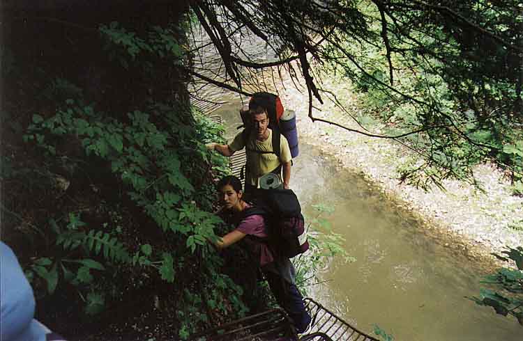 If picture is not shown here, it probably doesnot exist for this quality ... (choose another quality)