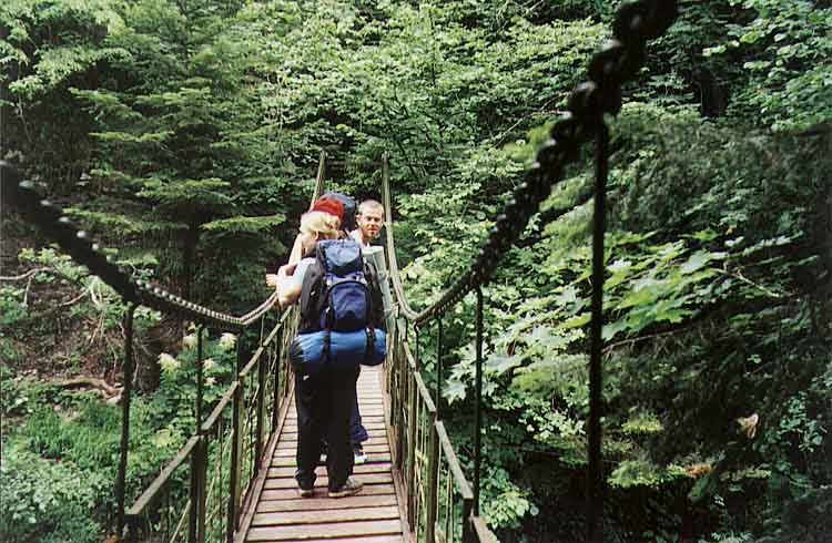 If picture is not shown here, it probably doesnot exist for this quality ... (choose another quality)