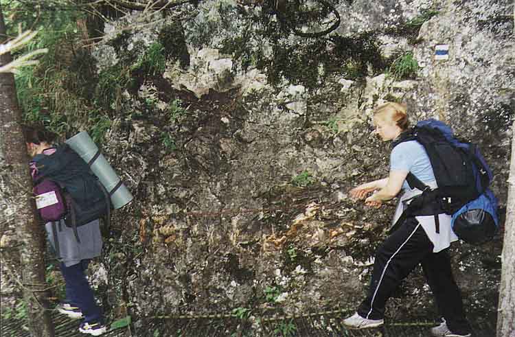 If picture is not shown here, it probably doesnot exist for this quality ... (choose another quality)