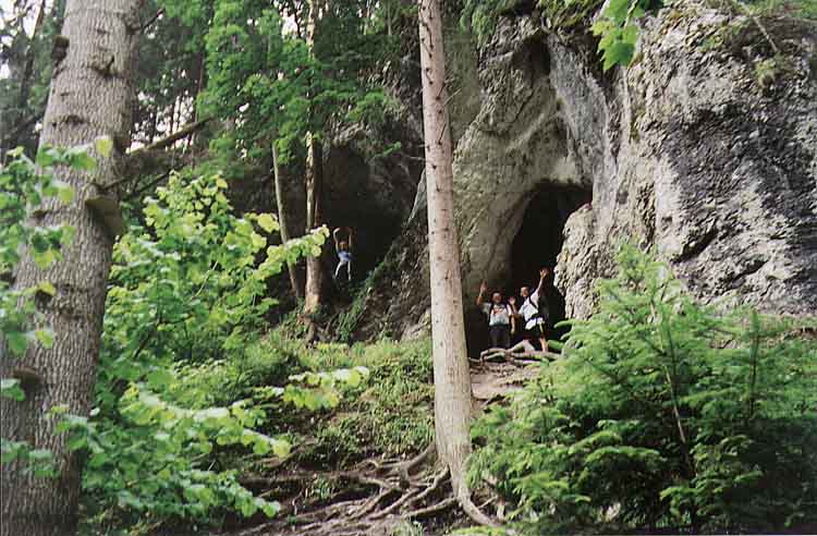 If picture is not shown here, it probably doesnot exist for this quality ... (choose another quality)