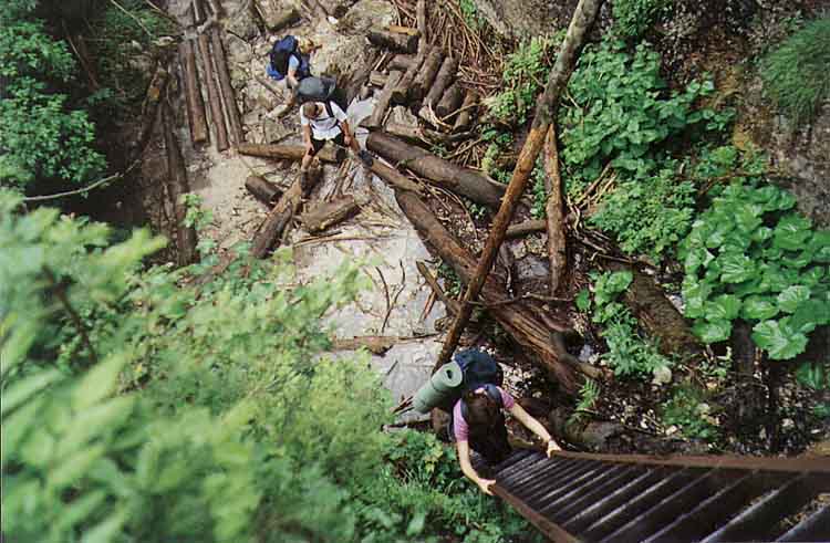 If picture is not shown here, it probably doesnot exist for this quality ... (choose another quality)