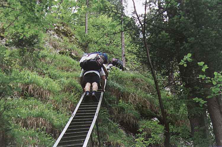 If picture is not shown here, it probably doesnot exist for this quality ... (choose another quality)