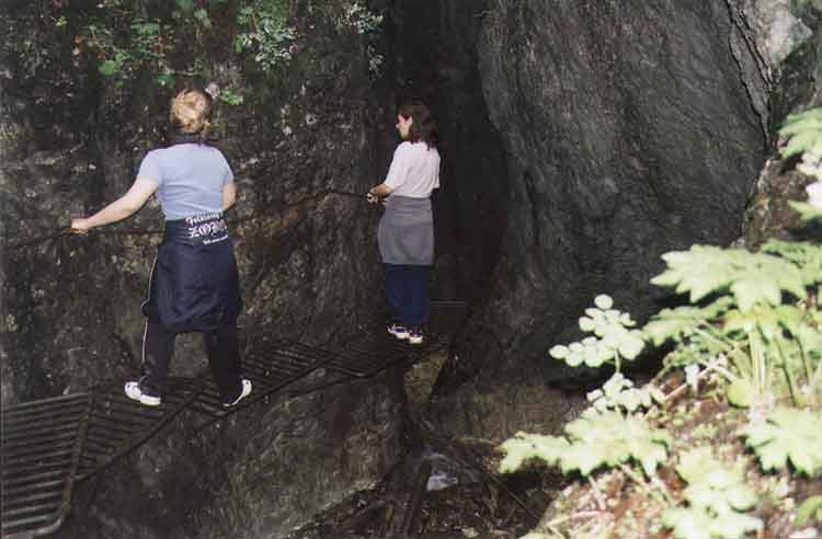 If picture is not shown here, it probably doesnot exist for this quality ... (choose another quality)