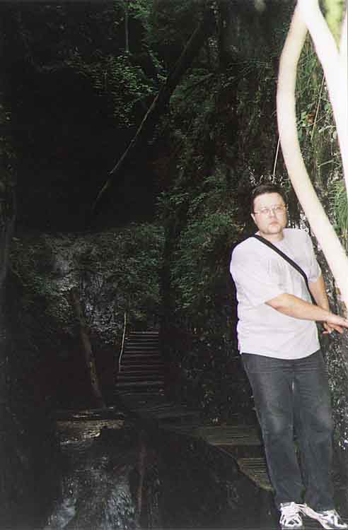 If picture is not shown here, it probably doesnot exist for this quality ... (choose another quality)