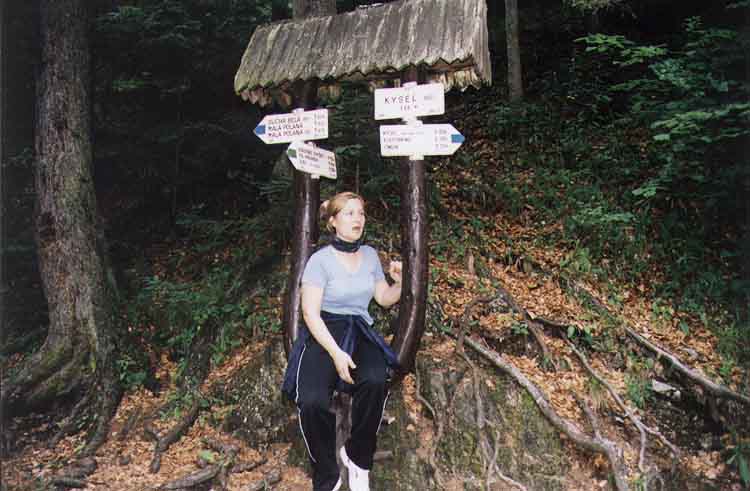 If picture is not shown here, it probably doesnot exist for this quality ... (choose another quality)