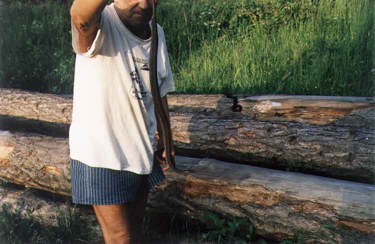 If picture is not shown here, it probably doesnot exist for this quality ... (choose another quality)