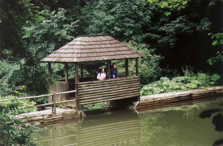 If picture is not shown here, it probably doesnot exist for this quality ... (choose another quality)