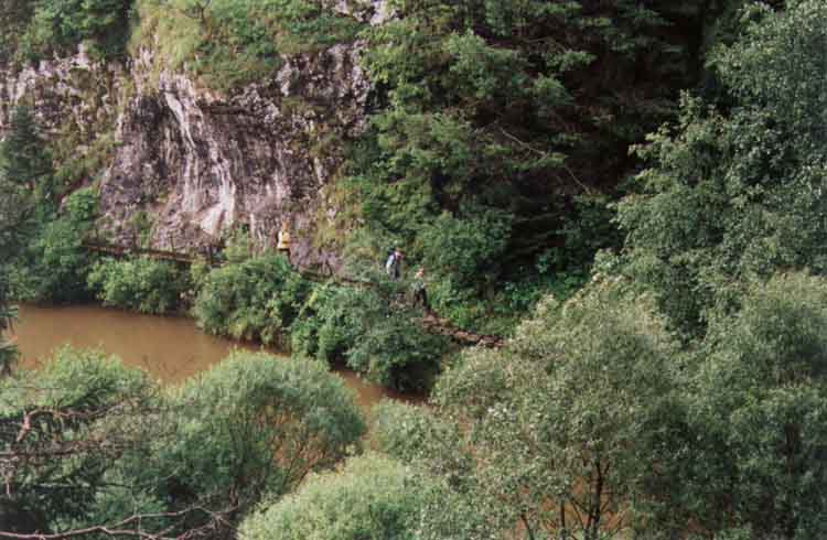 If picture is not shown here, it probably doesnot exist for this quality ... (choose another quality)