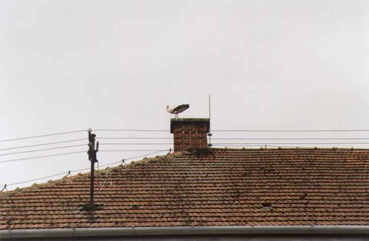 If picture is not shown here, it probably doesnot exist for this quality ... (choose another quality)