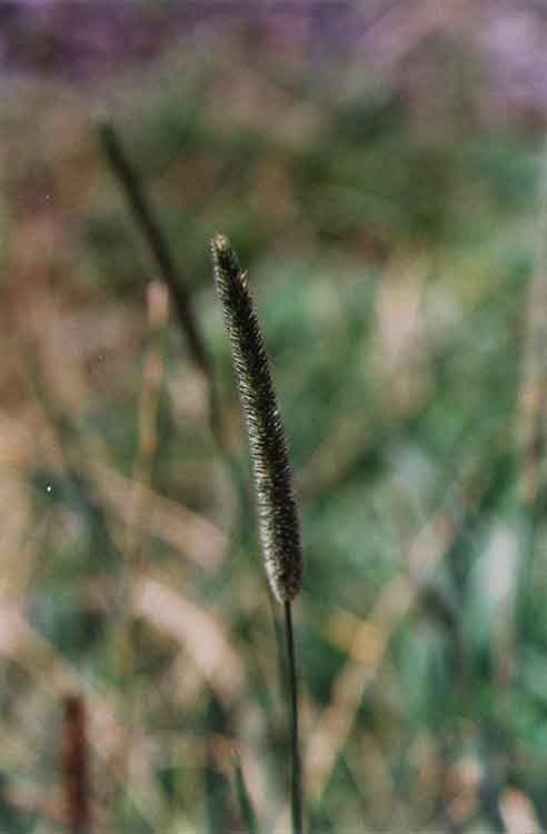 If picture is not shown here, it probably doesnot exist for this quality ... (choose another quality)