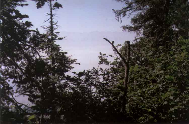 If picture is not shown here, it probably doesnot exist for this quality ... (choose another quality)