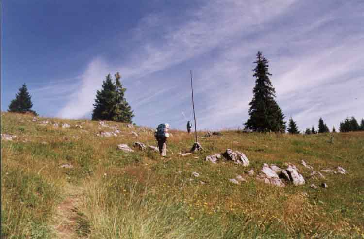 If picture is not shown here, it probably doesnot exist for this quality ... (choose another quality)