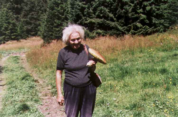 If picture is not shown here, it probably doesnot exist for this quality ... (choose another quality)