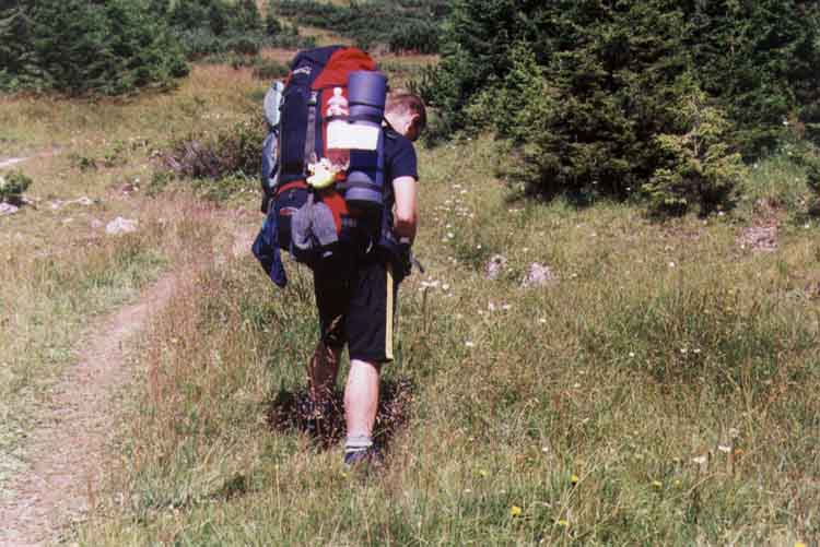 If picture is not shown here, it probably doesnot exist for this quality ... (choose another quality)