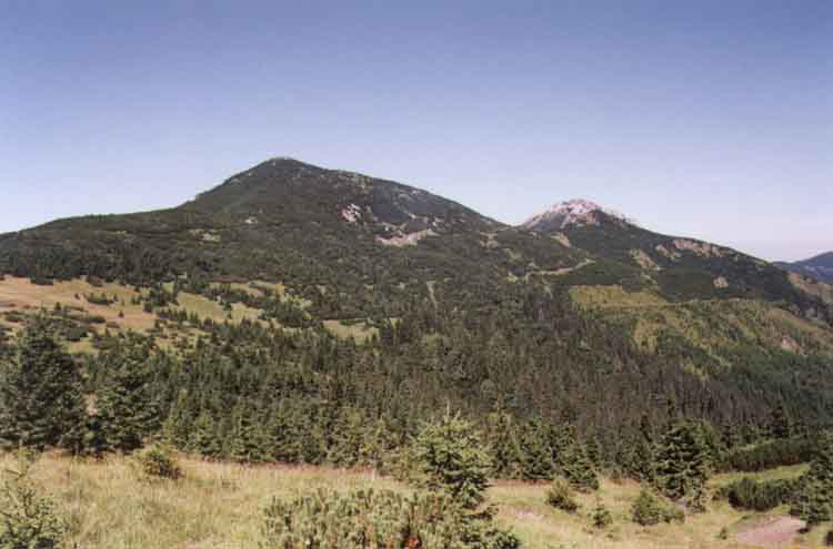 If picture is not shown here, it probably doesnot exist for this quality ... (choose another quality)