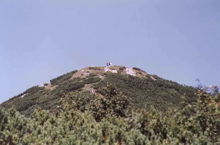 If picture is not shown here, it probably doesnot exist for this quality ... (choose another quality)