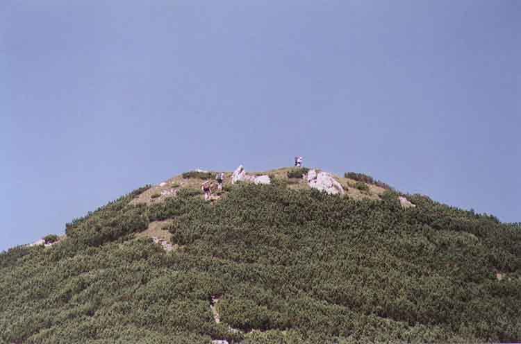 If picture is not shown here, it probably doesnot exist for this quality ... (choose another quality)