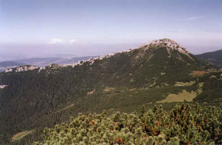 If picture is not shown here, it probably doesnot exist for this quality ... (choose another quality)