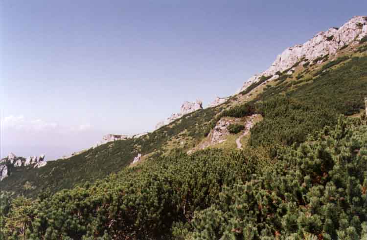 If picture is not shown here, it probably doesnot exist for this quality ... (choose another quality)