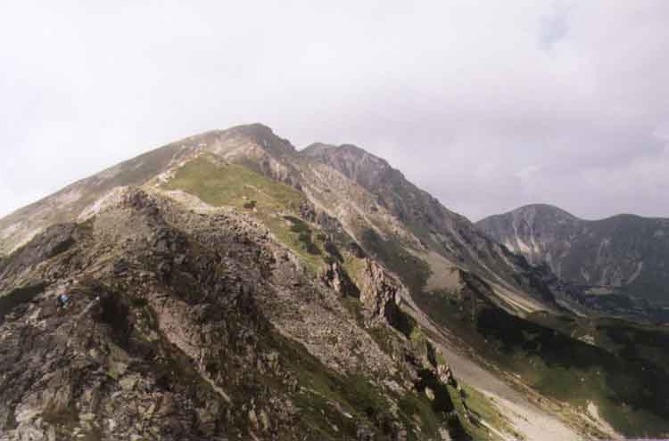 If picture is not shown here, it probably doesnot exist for this quality ... (choose another quality)