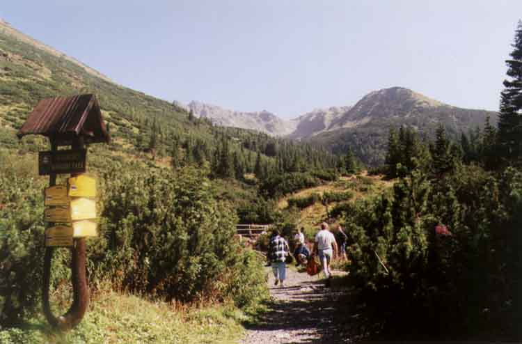 If picture is not shown here, it probably doesnot exist for this quality ... (choose another quality)