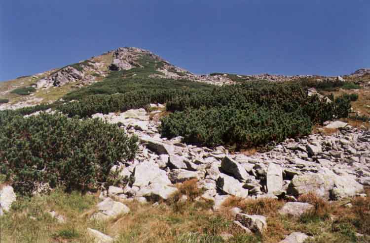 If picture is not shown here, it probably doesnot exist for this quality ... (choose another quality)