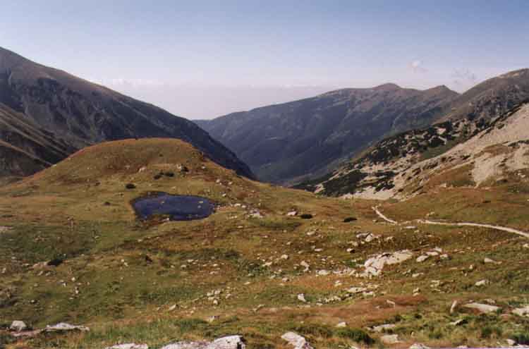 If picture is not shown here, it probably doesnot exist for this quality ... (choose another quality)