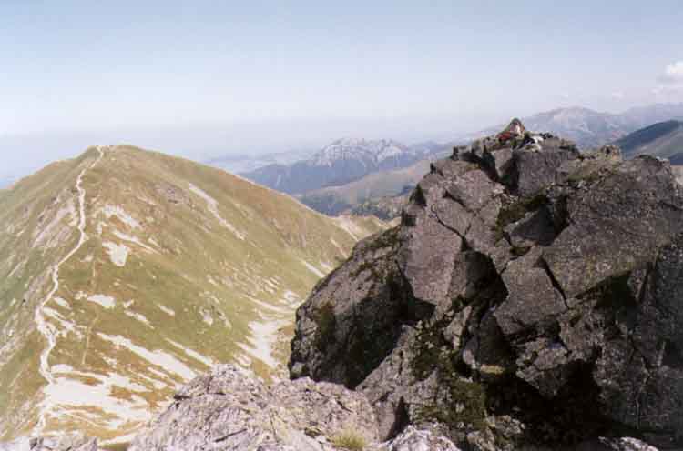 If picture is not shown here, it probably doesnot exist for this quality ... (choose another quality)