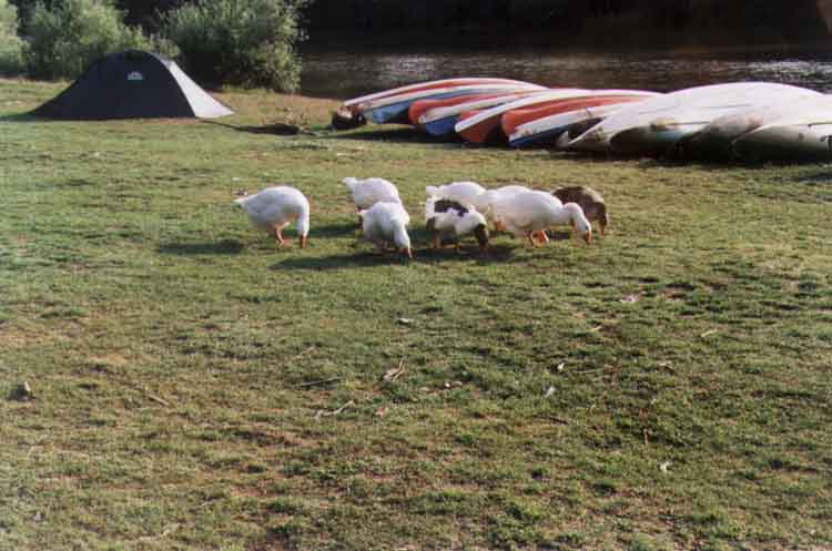 If picture is not shown here, it probably doesnot exist for this quality ... (choose another quality)