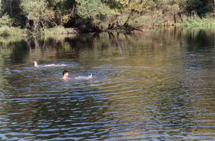 If picture is not shown here, it probably doesnot exist for this quality ... (choose another quality)