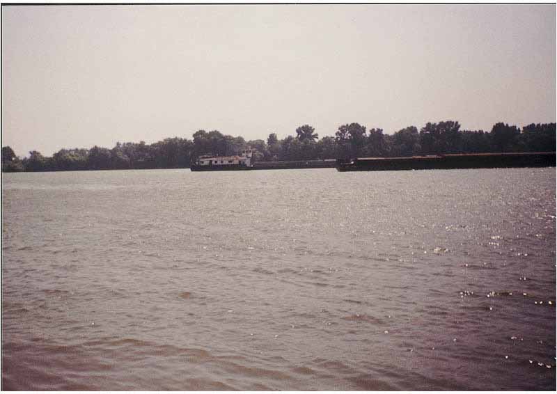 If picture is not shown here, it probably doesnot exist for this quality ... (choose another quality)