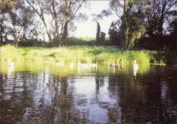 If picture is not shown here, it probably doesnot exist for this quality ... (choose another quality)