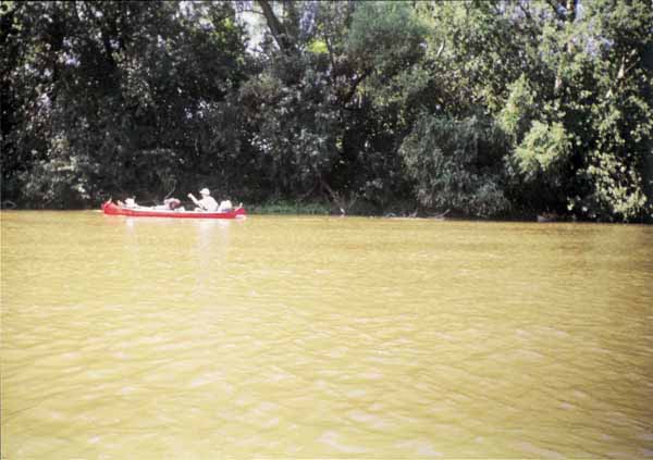 If picture is not shown here, it probably doesnot exist for this quality ... (choose another quality)