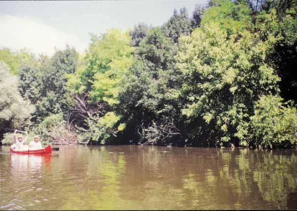 If picture is not shown here, it probably doesnot exist for this quality ... (choose another quality)