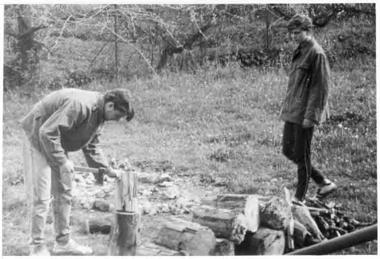 If picture is not shown here, it probably doesnot exist for this quality ... (choose another quality)