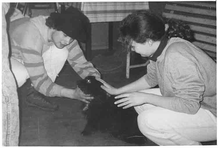 If picture is not shown here, it probably doesnot exist for this quality ... (choose another quality)