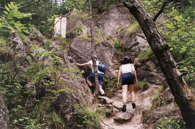 If picture is not shown here, it probably doesnot exist for this quality ... (choose another quality)