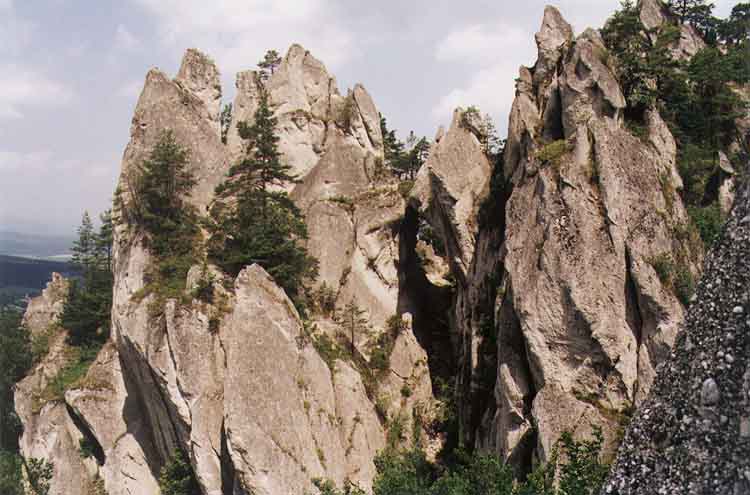 If picture is not shown here, it probably doesnot exist for this quality ... (choose another quality)