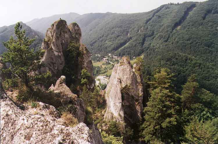 If picture is not shown here, it probably doesnot exist for this quality ... (choose another quality)