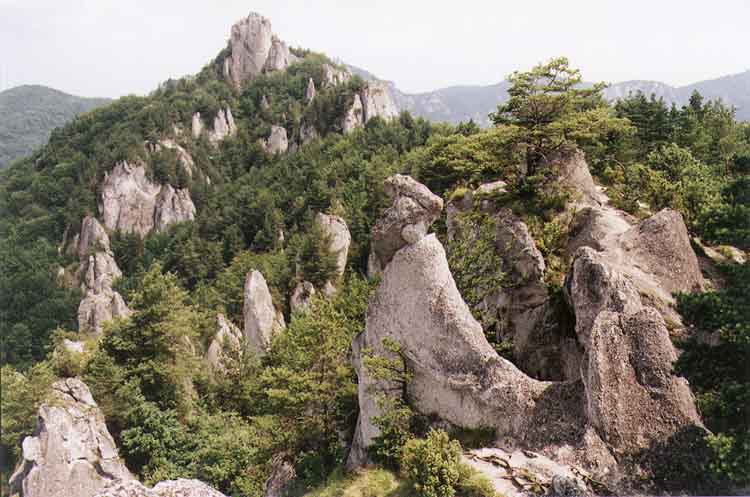 If picture is not shown here, it probably doesnot exist for this quality ... (choose another quality)