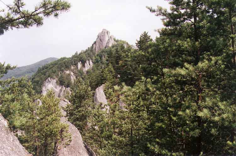 If picture is not shown here, it probably doesnot exist for this quality ... (choose another quality)