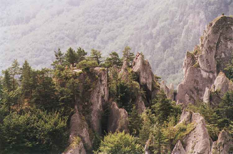 If picture is not shown here, it probably doesnot exist for this quality ... (choose another quality)