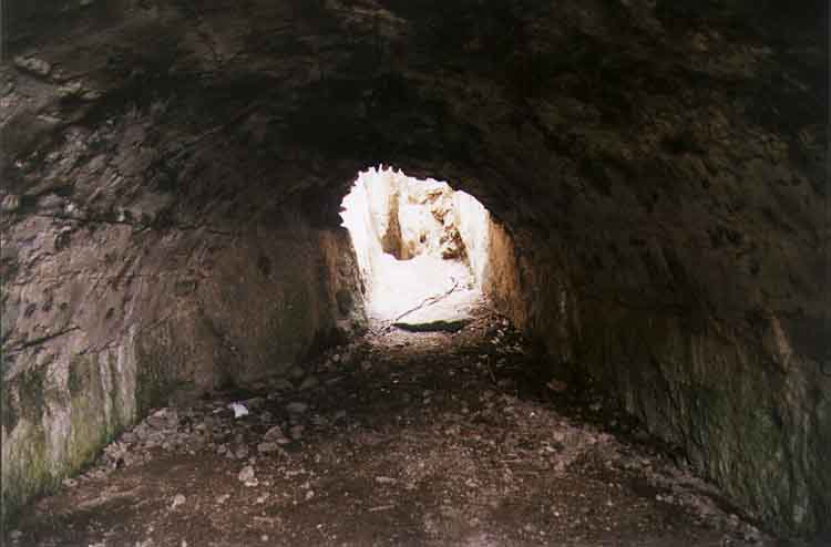 If picture is not shown here, it probably doesnot exist for this quality ... (choose another quality)