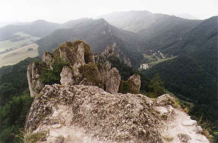 If picture is not shown here, it probably doesnot exist for this quality ... (choose another quality)