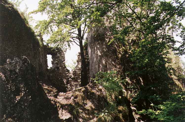 If picture is not shown here, it probably doesnot exist for this quality ... (choose another quality)