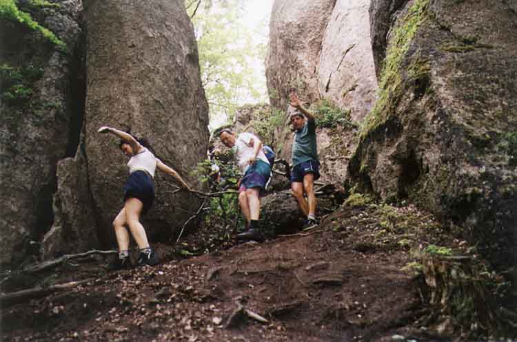 If picture is not shown here, it probably doesnot exist for this quality ... (choose another quality)