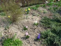 dvorska_panasonic_p1000050.jpg: 299k (2009-04-07 10:40)