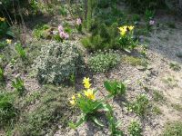 dvorska_panasonic_p1000051.jpg: 297k (2009-04-07 10:42)